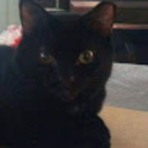 Meet your Posher, Patricia